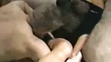 خوبصورت ماڈل سوفی دوبارہ Reez ایک بہت بڑا ڈک سواری سونے کے کمرے میں