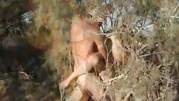 خوبصورت جمالیاتی کوئن W