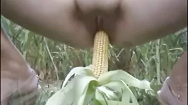 خوبصورت بڑی چوچیان فرشتہ فرشتہ Ry